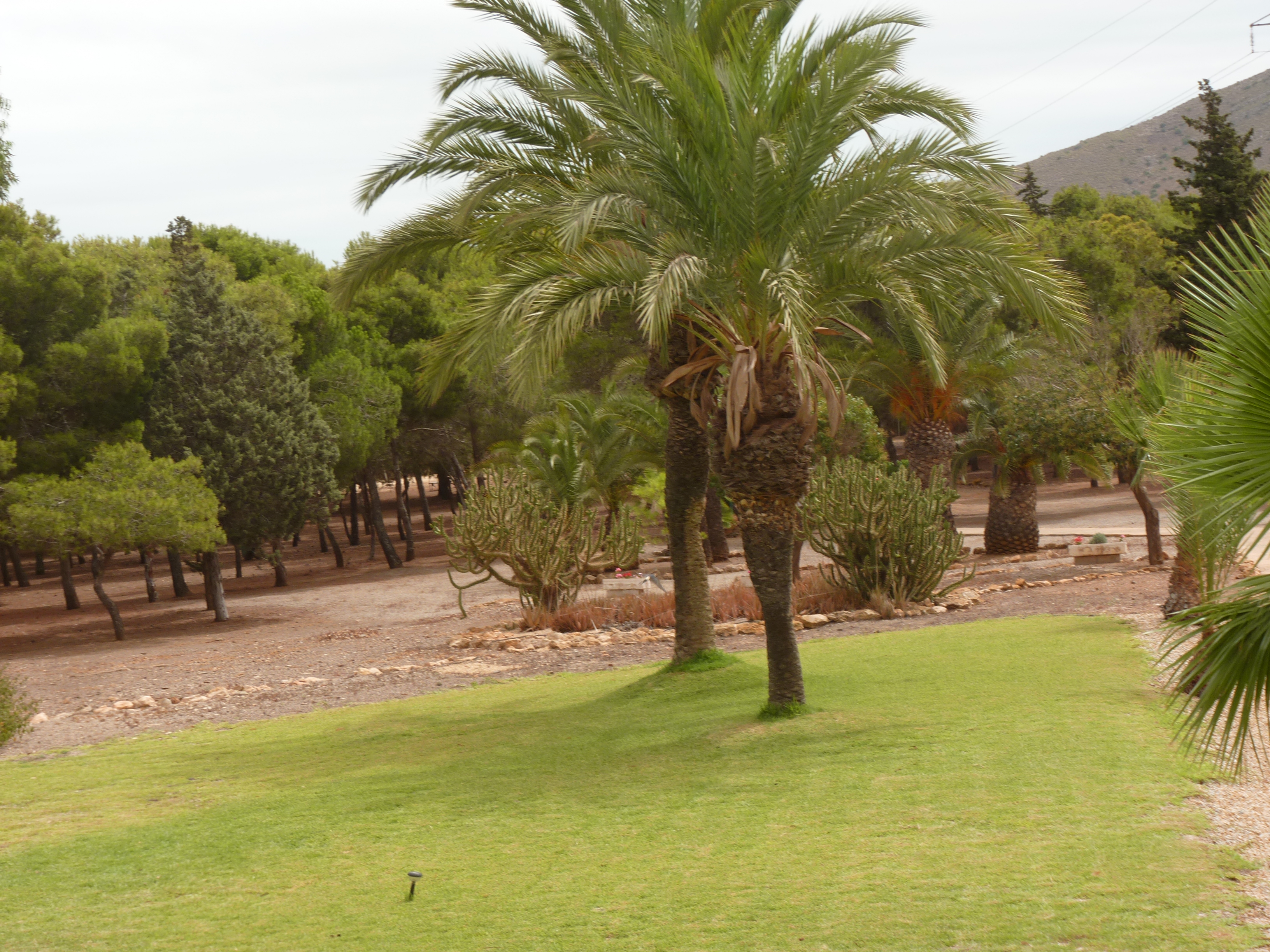 No s'ha trobat l'arxiu